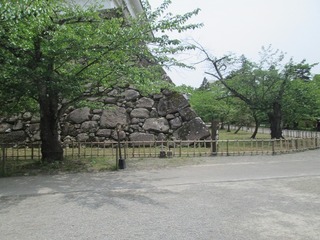 vn1099@.jpg