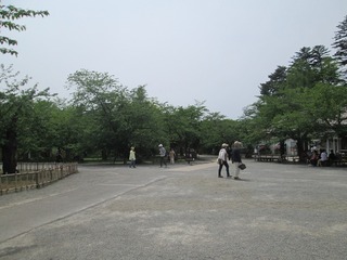 vn1100.jpg