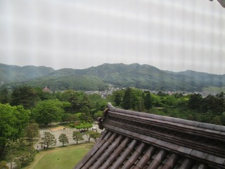 vn1118.jpg