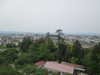 vn1124.jpg