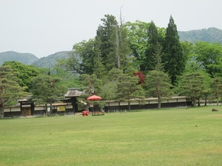 vn1135@.jpg