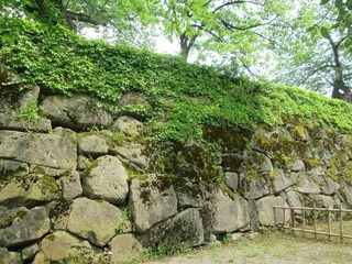 vn1146.jpg