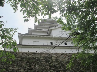 vn1149.jpg