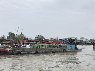 vn1254.jpg