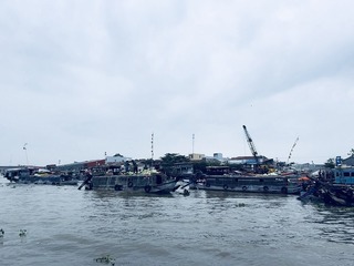vn1257.jpg