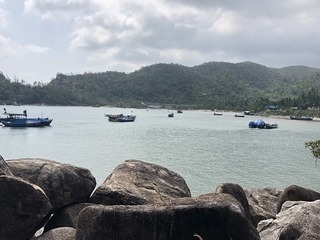 vn1341.jpg
