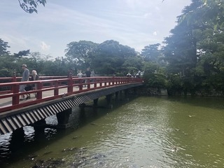 vn1602.jpg