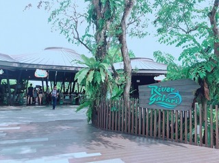 vn2019.jpg