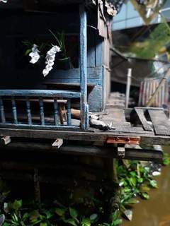 vn3268.jpg