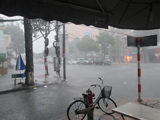 vn3784.jpg