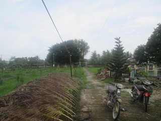 vn3818.jpg