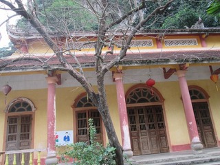 vn6156.jpg