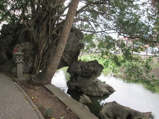 vn6285.jpg