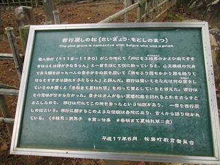 vn6606.jpg