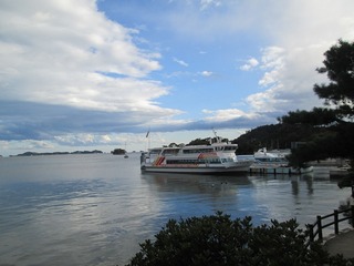 vn6618.jpg