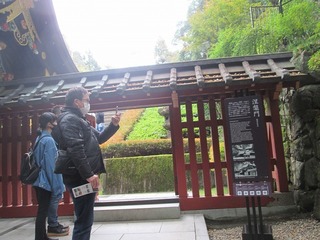 vn6672.jpg