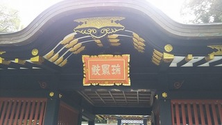 vn6675.jpg