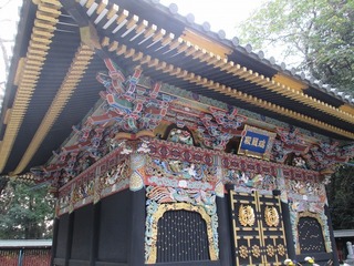 vn6679.jpg