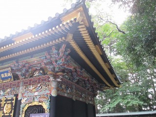 vn6680.jpg