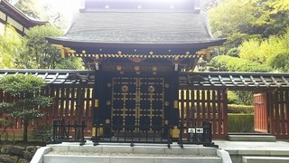 vn6682.jpg