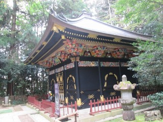 vn6687.jpg