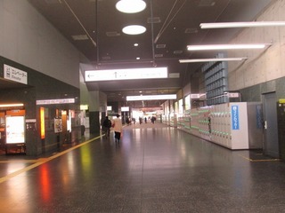 vn7696.jpg