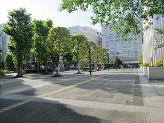 vn8673.jpg