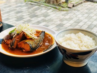 vn8731.jpg