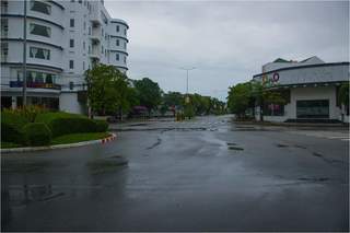 vn9579.jpg