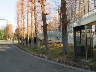 vt3488.jpg