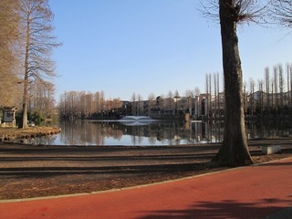 vt3489.jpg