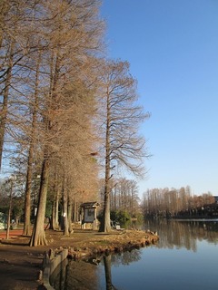 vt3490.jpg