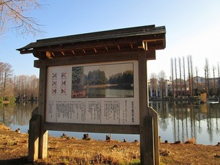 vt3492.jpg