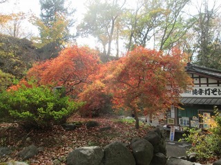 vt8582.jpg