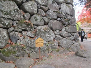 vt8584.jpg