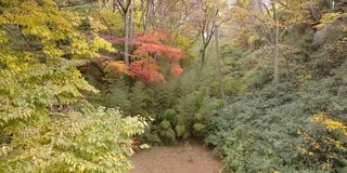 vt8639.jpg