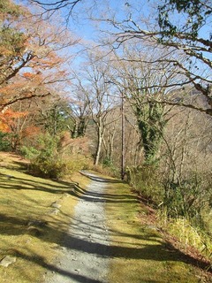 vt9251.jpg