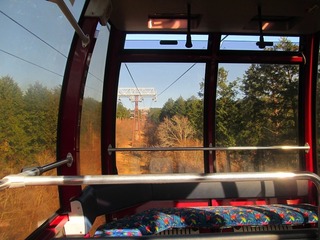 vt9263.jpg