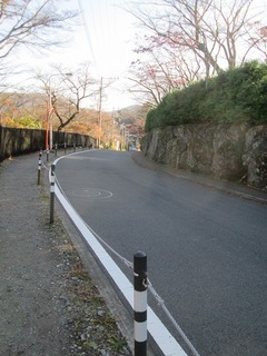 vt9329.jpg