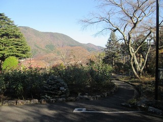 vt9334.jpg