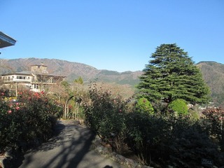 vt9336.jpg