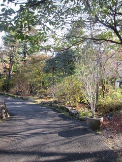 vt9337.jpg