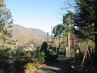 vt9340.jpg