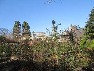 vt9341.jpg