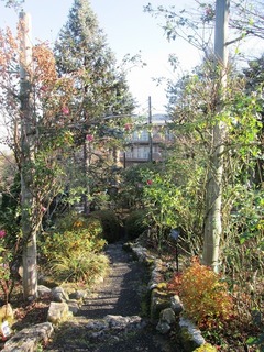 vt9343.jpg