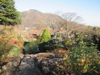 vt9344.jpg