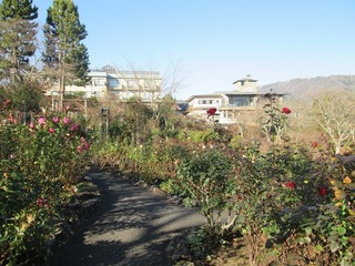 vt9345.jpg