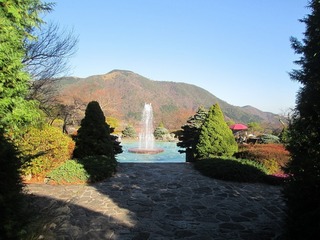vt9359.jpg