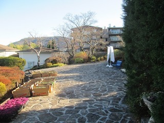 vt9360.jpg