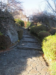 vt9361.jpg
